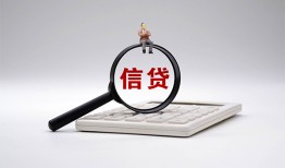 成都19大额短借-成都19哪里可以借钱-成都19个人工程贷款